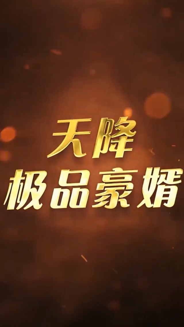 天降极品豪婿 第01集