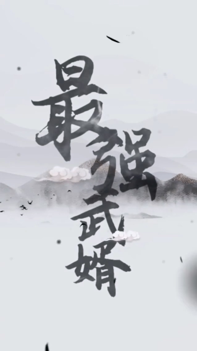最强武婿 第21集