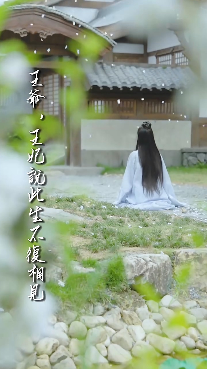 王爷，王妃说此生不复相见 第36集