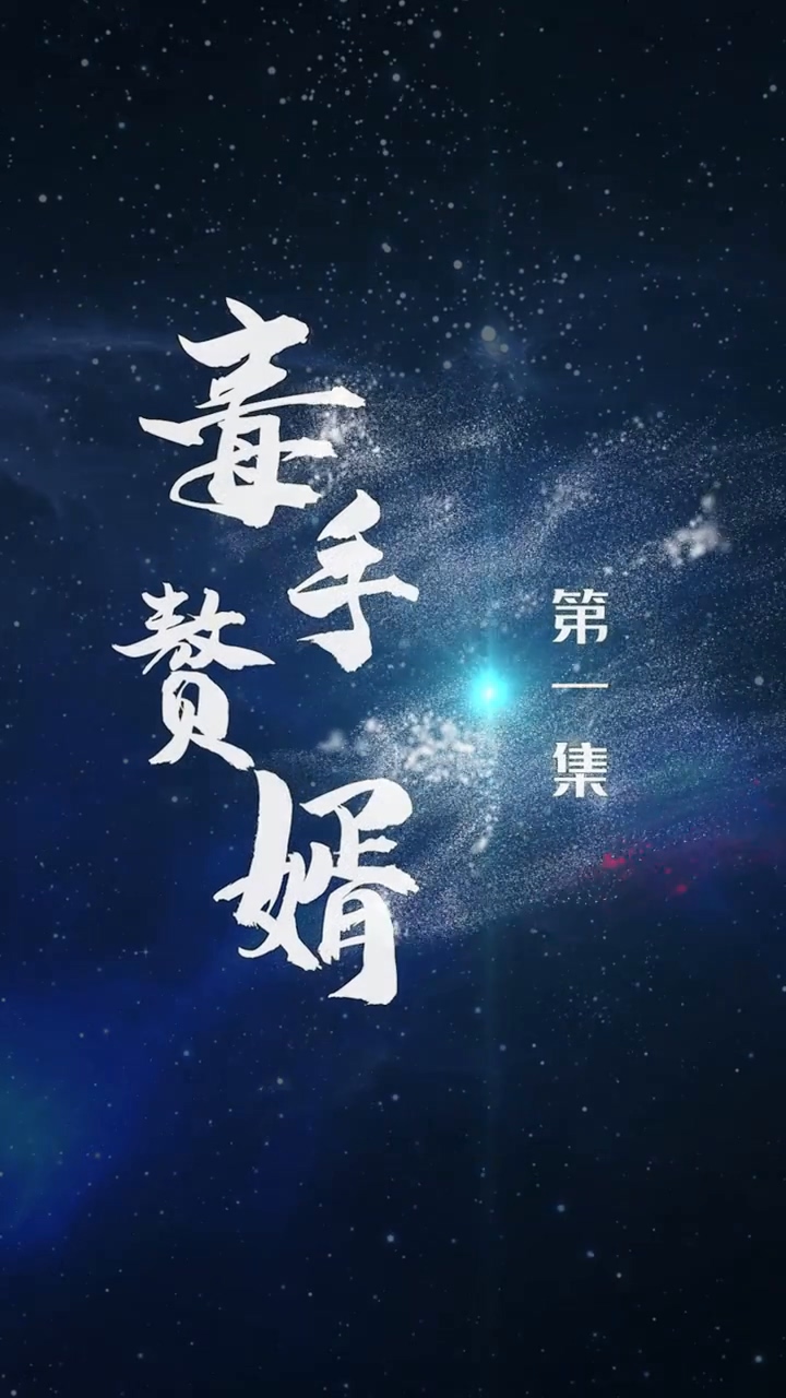 毒手赘婿 第95集