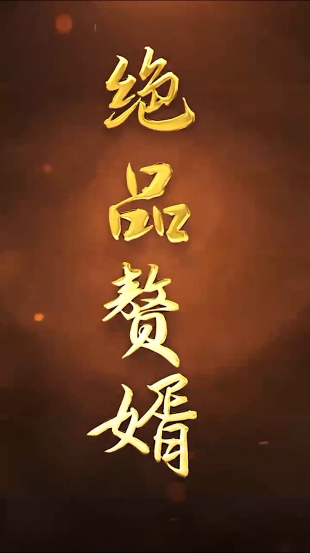 绝品赘婿 第40集